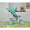 MILLY MALLY 3105 Puppenwagen Natalie Prestige Mint