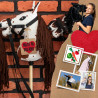 Skippi Hobby Horse  tarantowaty - biało brązowy - prezent na dzień dziecka