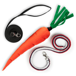 Halteband für Steckenpferd – inklusive Schlüsselband und Karotte – Skippi – als Geschenk