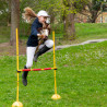 Hobby Horse Skippi Karmel A3 – Halfter und Zügel inklusive – beige