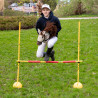 Hobby Horse Skippi Biszkopt A3 - kantar i wodze w zestawie - prezent
